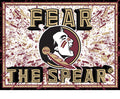 Florida State Seminoles 3D Art Print 12x16 Splatter-0