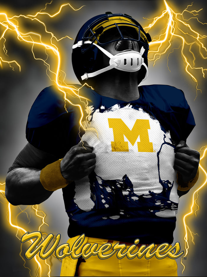 Michigan Wolverines 3D Art Print 12x16 Super Player-0