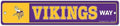 Minnesota Vikings Sign 3.75x19 Plastic Street Style - Special Order-0
